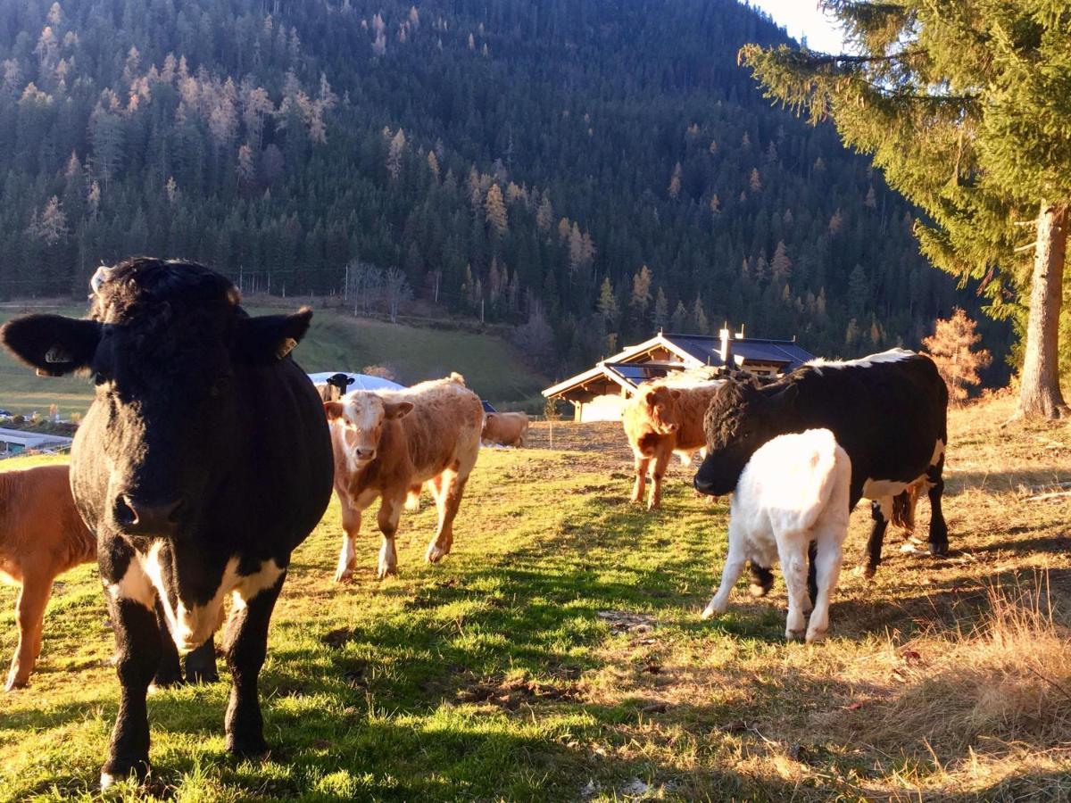 Appartamento Traumblick Dachstein Radstadt Esterno foto